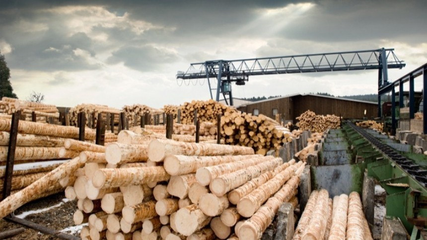 Путин предложил дополнительные меры поддержки предприятий лесной отрасли