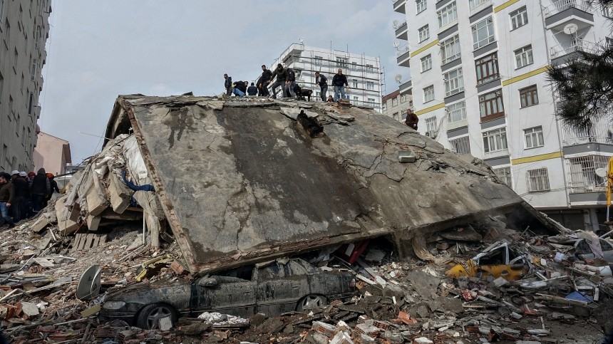 Лошадь достали живой из-под завалов через три недели после землетрясения в Турции
