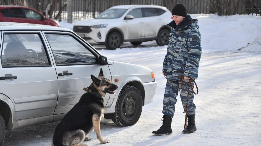 Кинологи Петербурга обучают собак отыскивать брошенные ВСУ боеприпасы