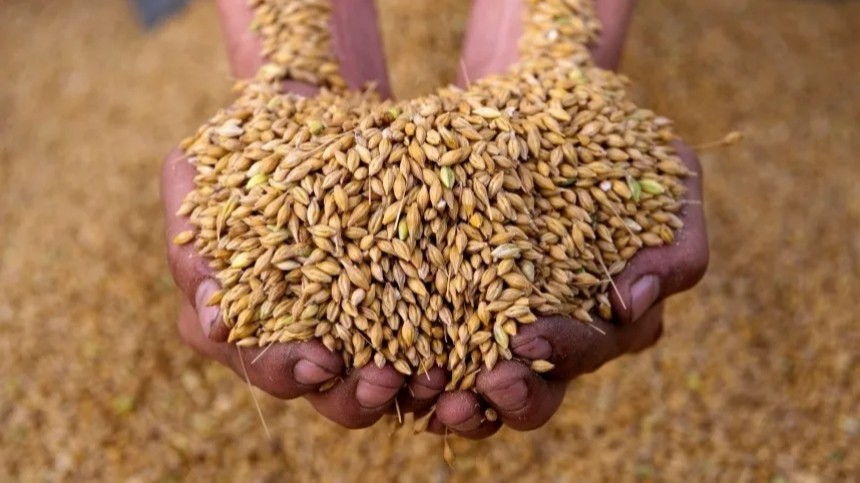В МИД РФ прокомментировали заявления Киева о продлении зерновой сделки