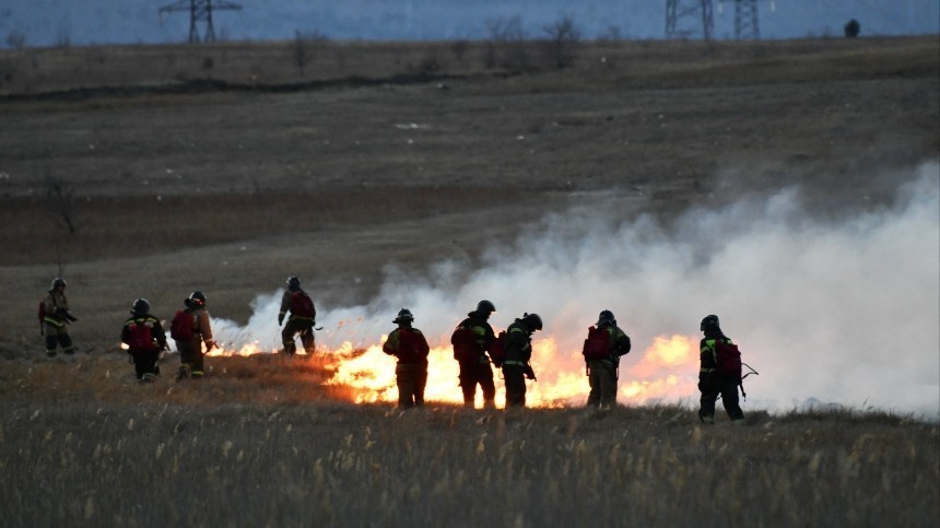 Дымный апрель: в регионах России начались лесные пожары