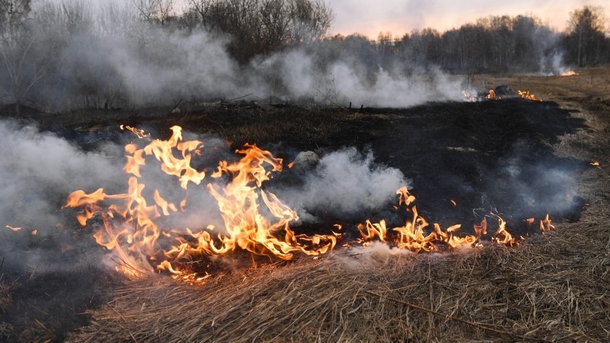 Мощный пожар вспыхнул из-за сухой травы у АЗС в Подмосковье