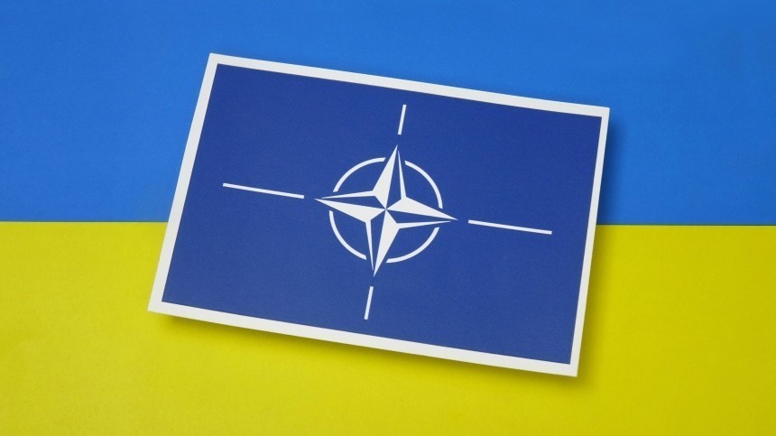 В Чехии назвали условие для рассмотрения заявки Украины на вступление в НАТО