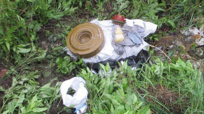 Тайник с боеприпасами и взрывчаткой найден в Запорожской области