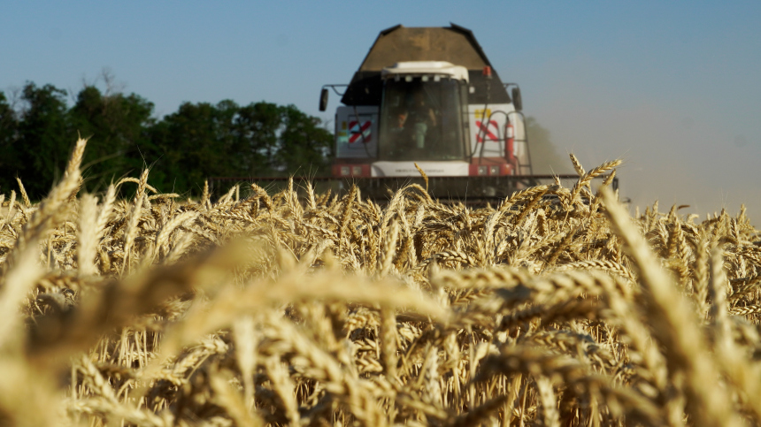 ООН анонсировала встречу высокого уровня по зерновой сделке