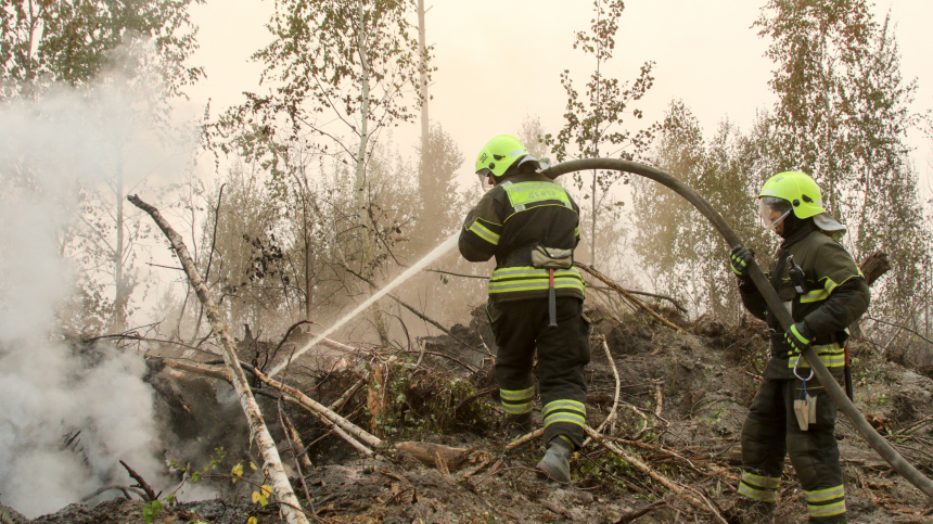 Наивысшая опасность: лесные пожары охватили Курганскую область