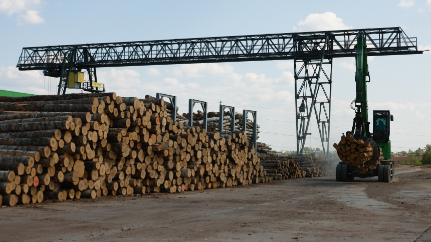 Британия запрещает импорт из Белоруссии золота, цемента и древесины