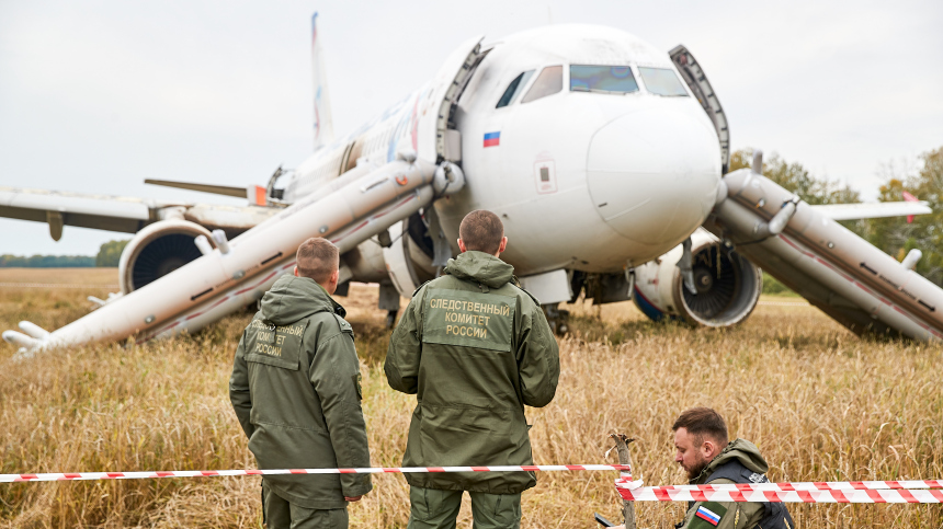 Пшеничное чудо: посадивших Airbus в поле под Новосибирском летчиков представят к наградам