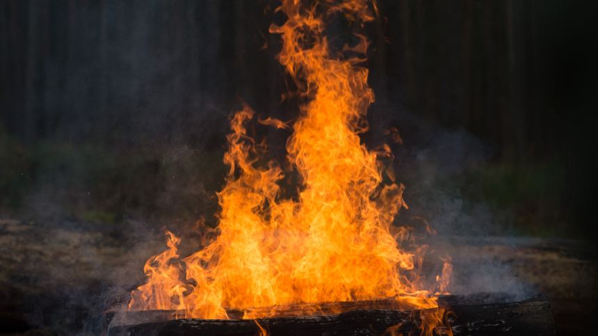Пикник, поход, шашлыки: какие две глупые ошибки приводят к лесным пожарам