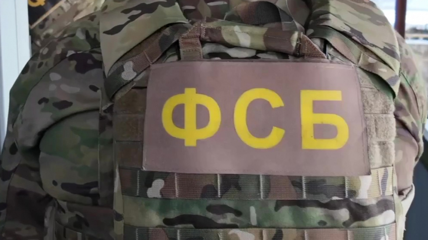 Появились кадры задержания избивавшего прохожих подростка в Ростовской области
