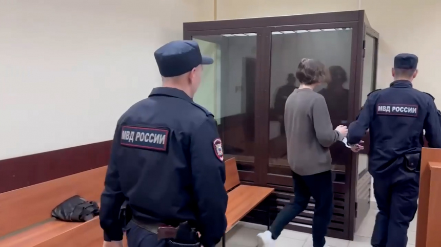 В Москве арестовали обвиняемого в убийстве домработницы подростка