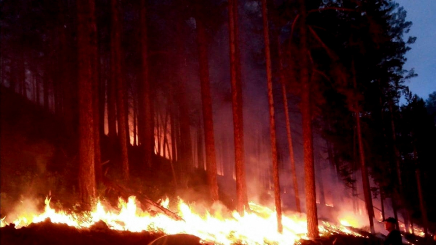 Лесные пожары в Бурятии: огонь охватил почти 500 гектаров