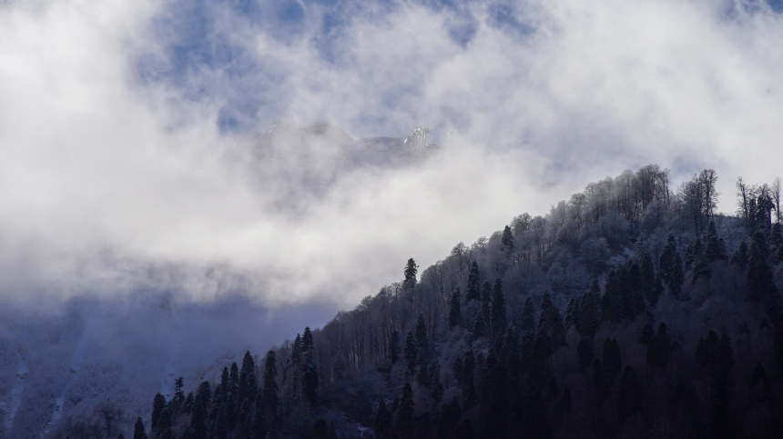 Без шансов на спасение: снежная лавина накрыла маму с дочкой в горах Сочи