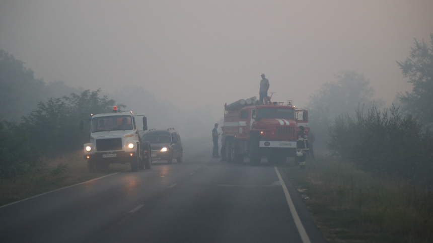 «Такого еще не видел»: спасатели оценили ситуацию с лесным пожаром под Новороссийском