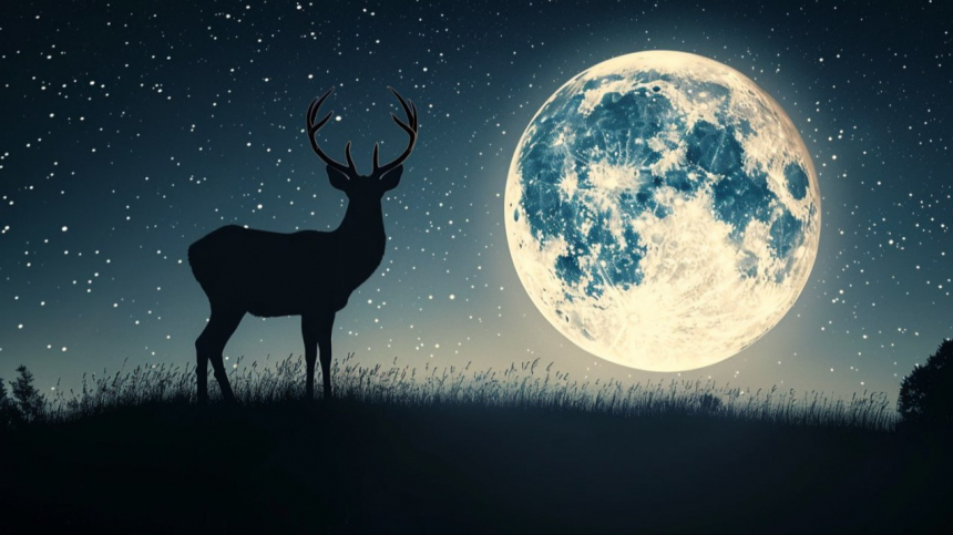 Магия Оленьей Луны: к чему готовиться знакам зодиака 21 июля 2024