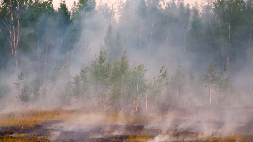 Блуждал в лесу 10 дней: пропавшего с места тушения пожара добровольца нашли живым в Якутии