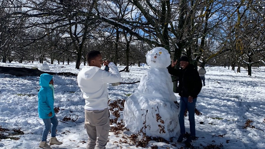 Люди и животные в шоке: на Южную Африку обрушилась снежная буря