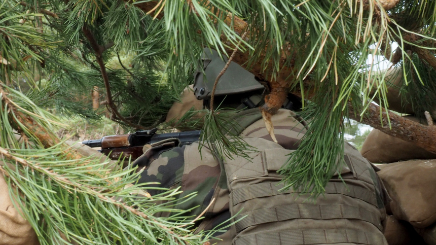 Слился с местностью: боевик ВСУ притворился кустом для побега из Курской области