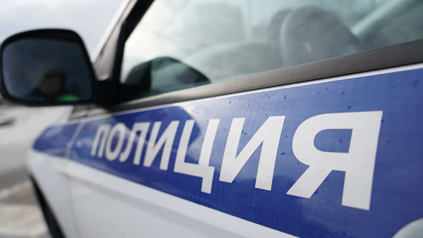 Названа предполагаемая личность расчлененной в Петербурге женщины