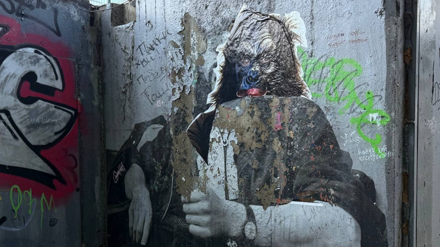 Неуместный крик отчаяния: художник о мотивах фанатов Техника, заклеивших стену Цоя в Петербуре