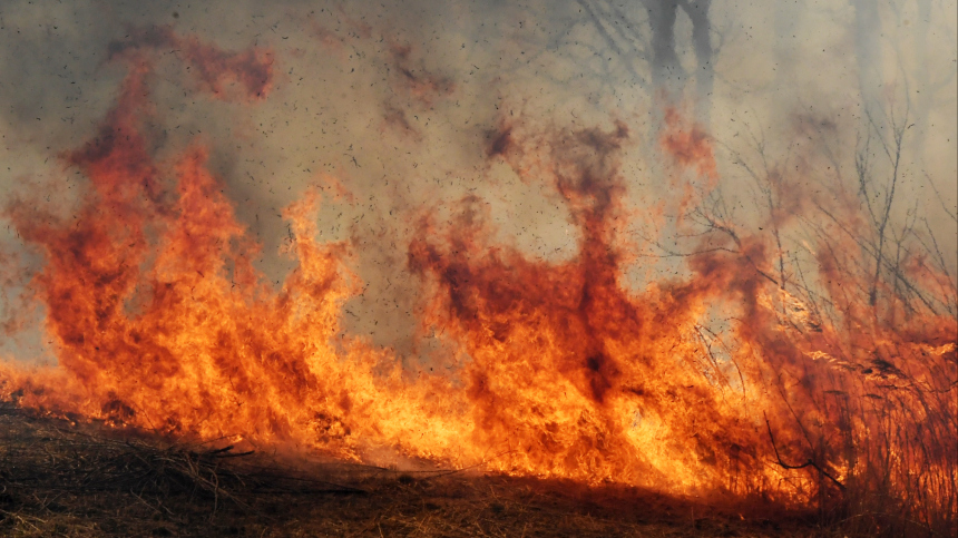 Стена огня: в Самаре природный пожар подобрался к детскому саду