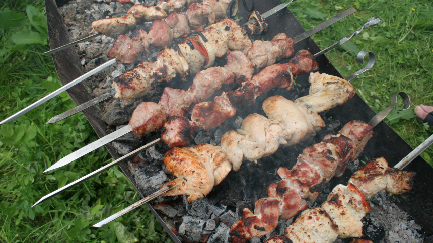 В магазине Магнолия продавался зараженный сальмонеллой шашлык