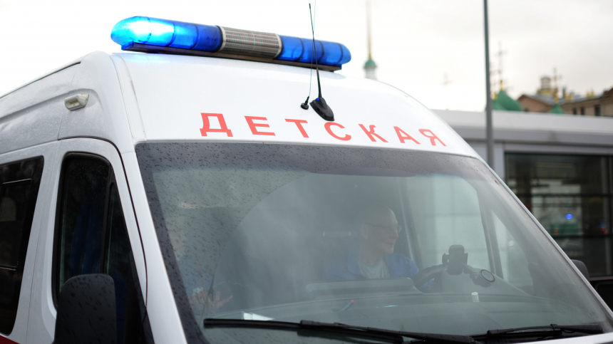 В Краснодаре собака укусила за лицо семилетнего мальчика