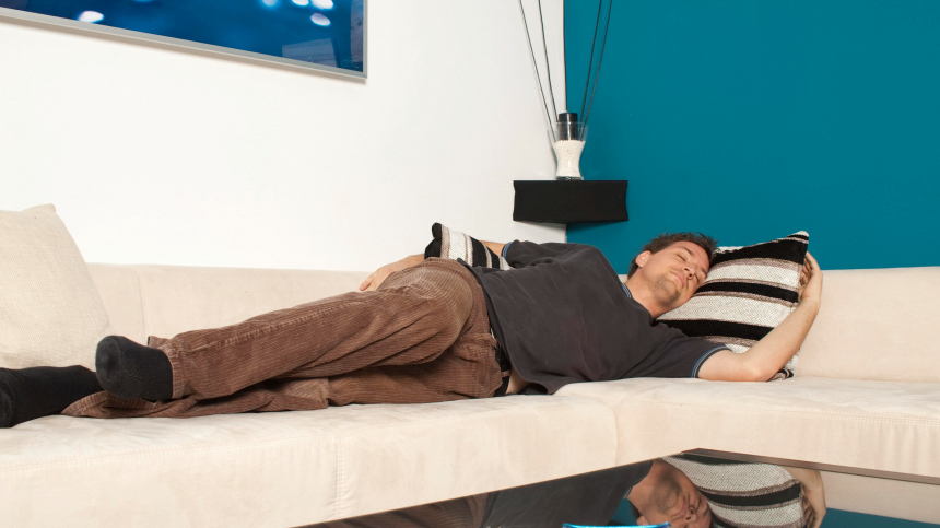 Психологический тюлень: как безделье влияет на мозг