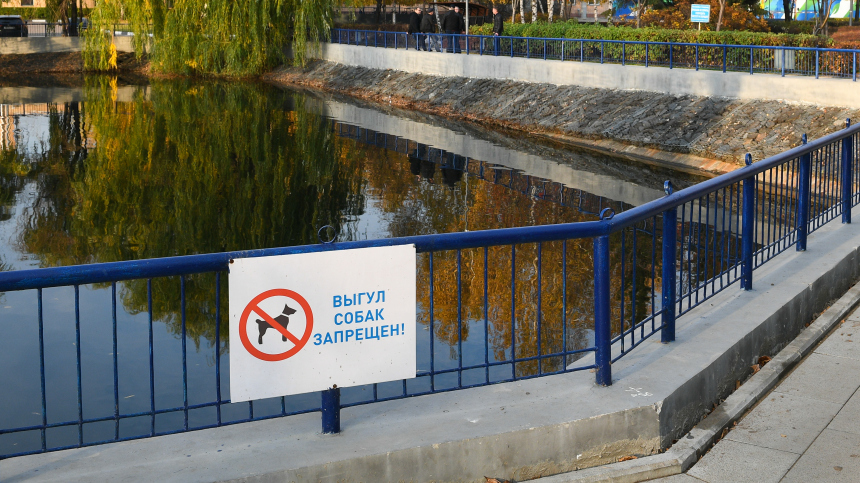 В Краснодарском крае запретили посещение общественных мест с собаками