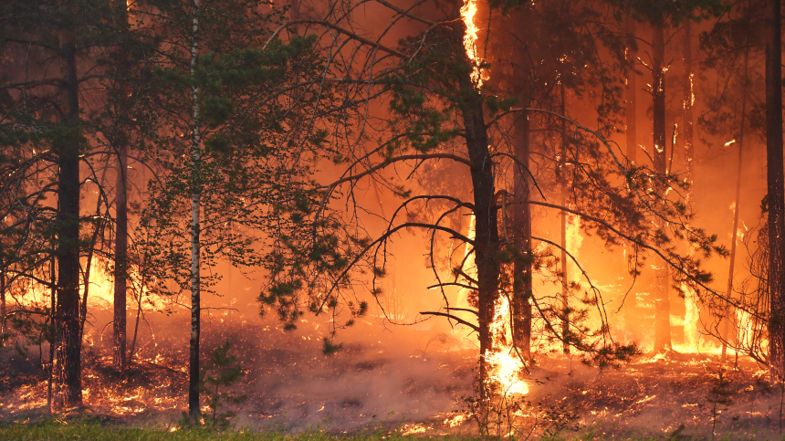 Еще один поселок охвачен огнем в Забайкалье