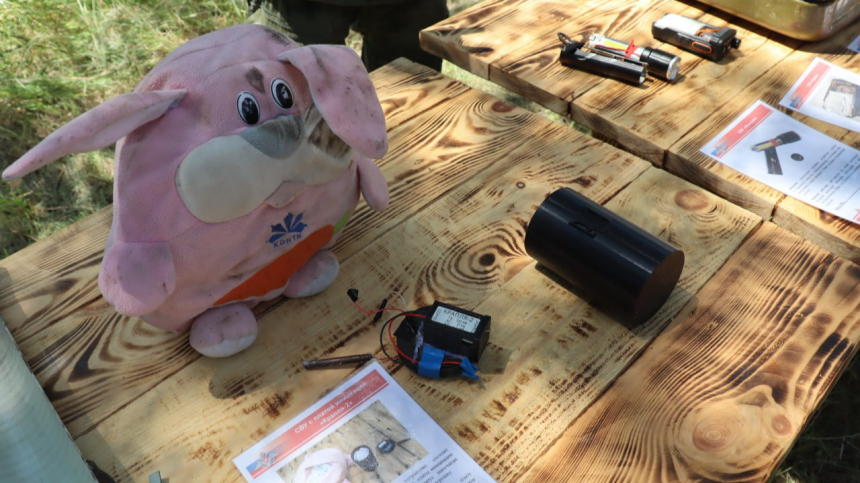 Начиненные взрывчаткой детские игрушки нашли саперы в Курской области