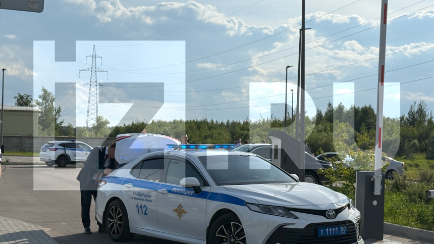 Тело было в кустах: последние новости о смерти Романа Старовойта в Одинцово