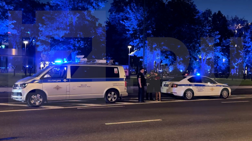Полиция задержала водителя, въехавшего в толпу пешеходов в Москве