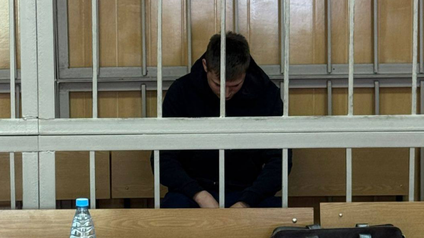 В Москве заключили под стражу сбившего пешеходов мужчину