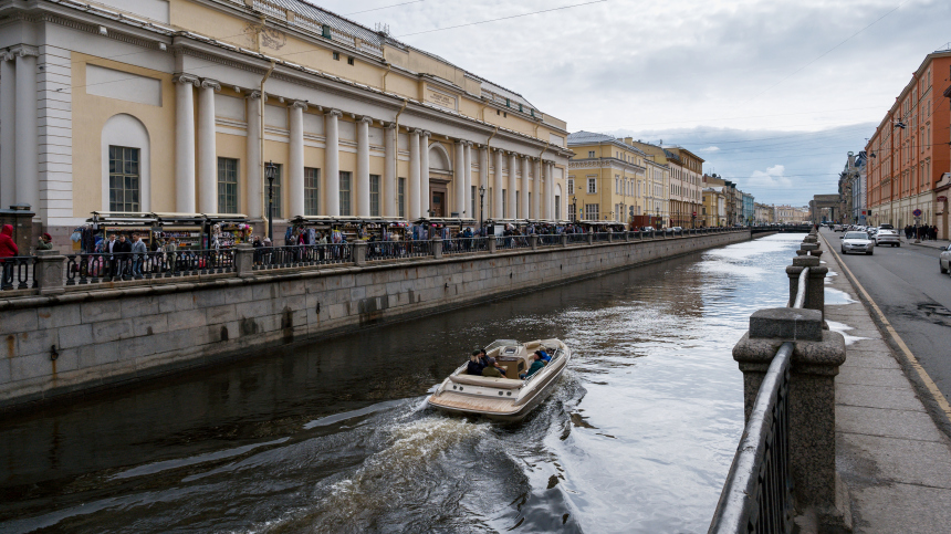 Пятый день в ловушке: в Петербурге пытаются спасти кота на набережной Фонтанки