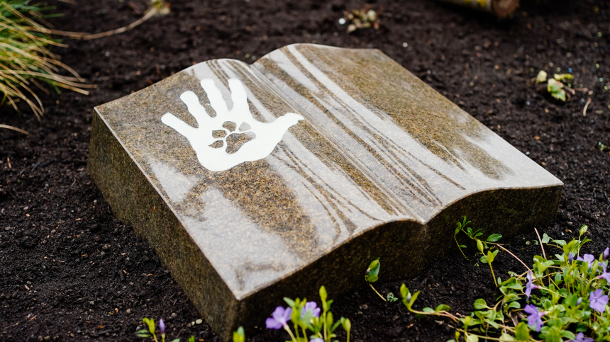 Контакт есть: можно ли пообщаться с умершими питомцами через медиумов