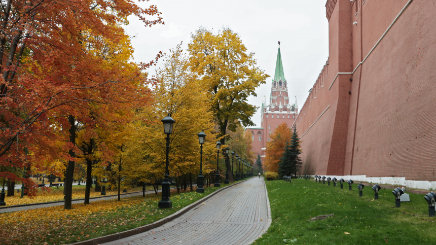 Первые заморозки: москвичам рассказали о погоде на следующей неделе