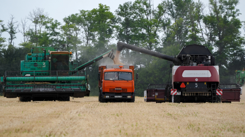 Урожай 2025 года может стать одним из лучших для всего российского АПК