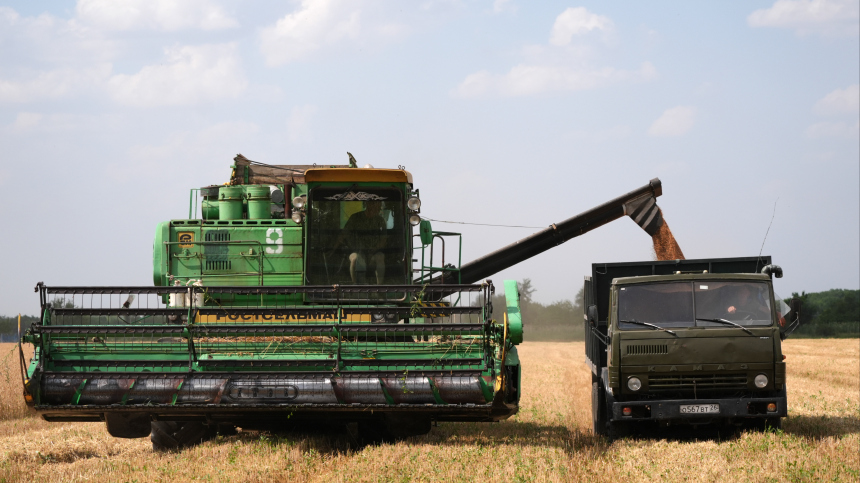 Патрушев: В 2025 году урожайность зерновых культур выросла на 10%