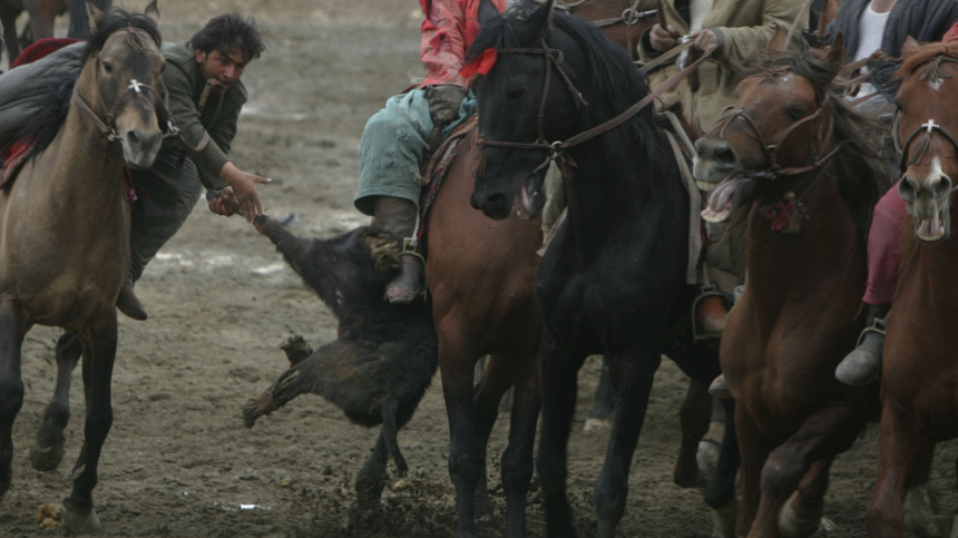 Забили козла: в Подмосковье иностранцы устроили массовую игру на лошадях