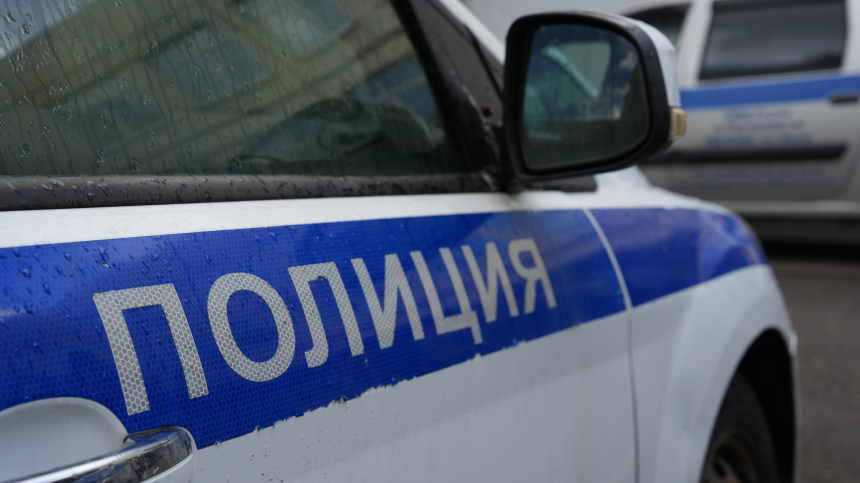 В лесу под Петербургом нашли загадочную колбу с младенцем в формалине