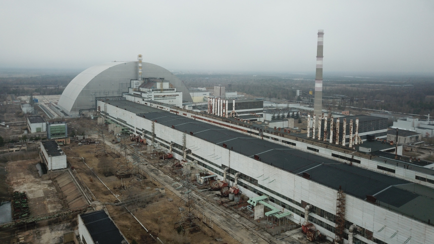 Детская шалость: откуда под Чернобылем взялись синие собаки