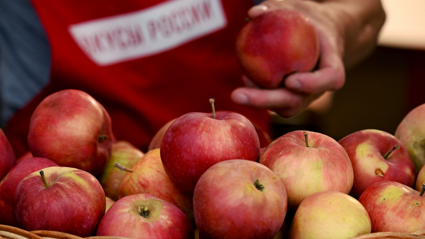 Из Афганистана в Россию привезли 50 тонн кандагарских яблок, сообщили СМИ