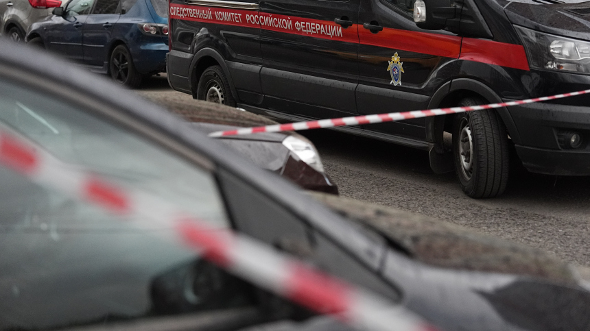 СК возбудил уголовное дело по факту обнаружения тела младенца в Подмосковье