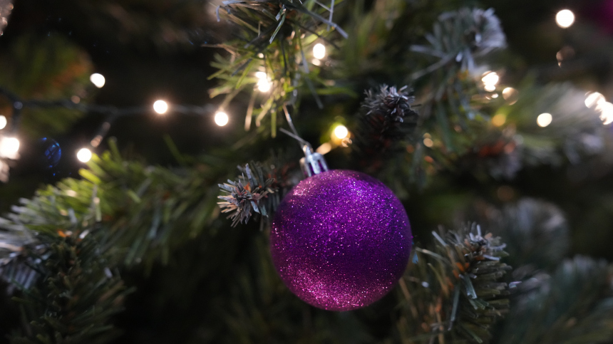 На Цветном бульваре установили 27 островков из елок в рамках Зимы в Москве