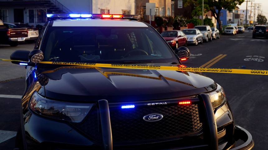 Мужчина привязал беременную собаку к внедорожнику и протащил ее по переулку