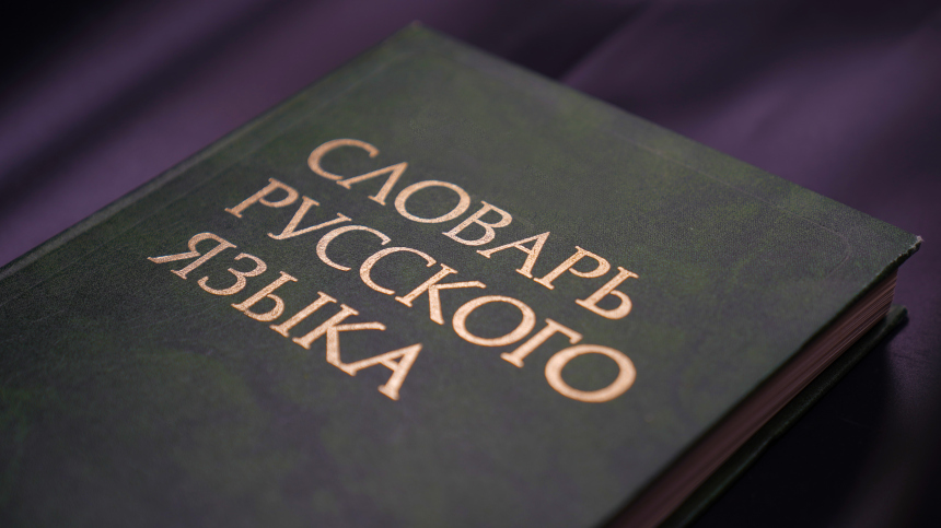 Выражение схема Долиной войдет в словарь неологизмов 2025 года