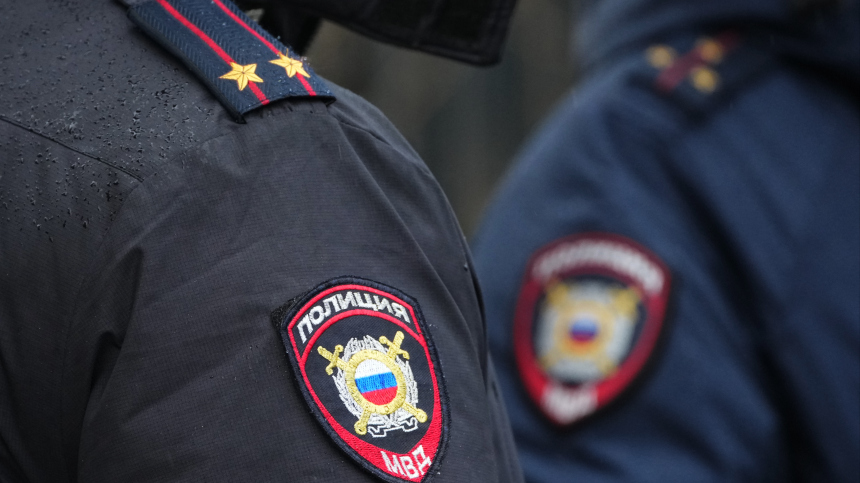 Росприроднадзор обратился в полицию из-за видео со львенком в Петербурге