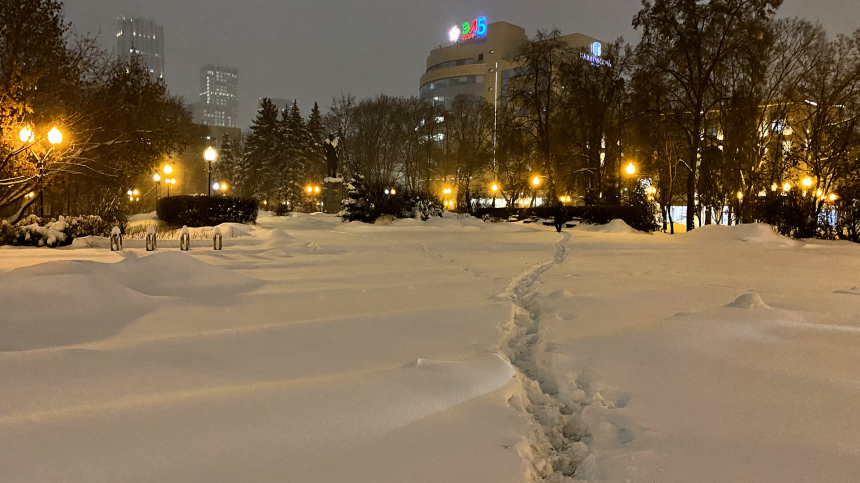 За ночь в Подмосковье выпало две трети месячной нормы снега
