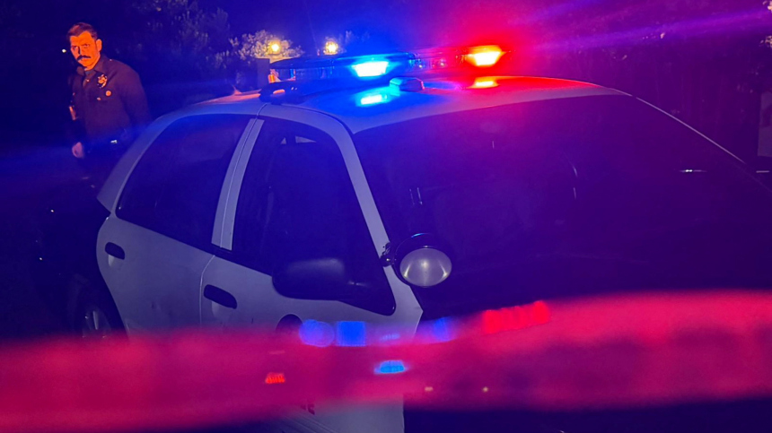 В Лос-Анджелесе грузовик врезался в толпу митингующих